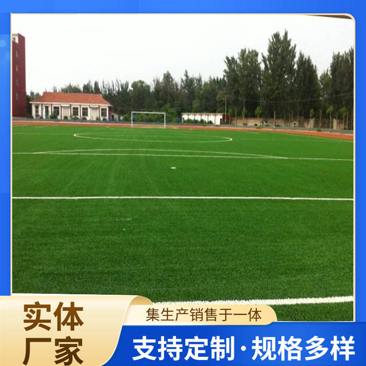 广安市篮球场硅PU人造草坪 - 方案